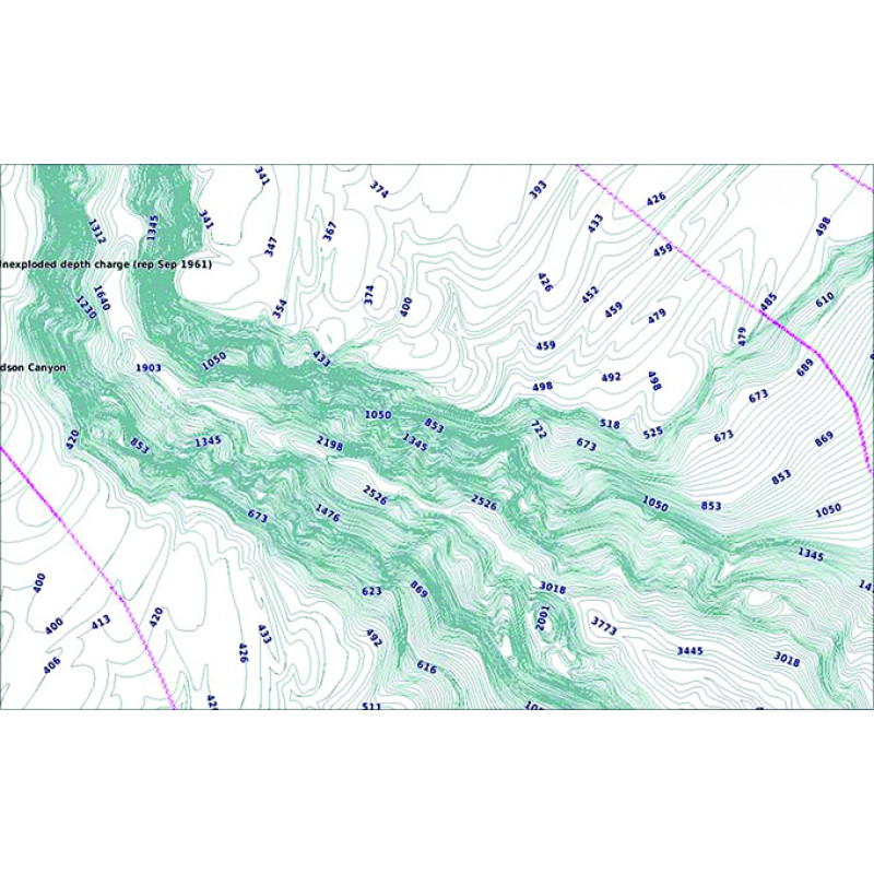 Garmin BlueChart G3 Regular