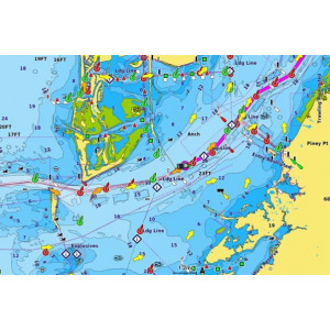 Garmin Navionics Vision+ Charts